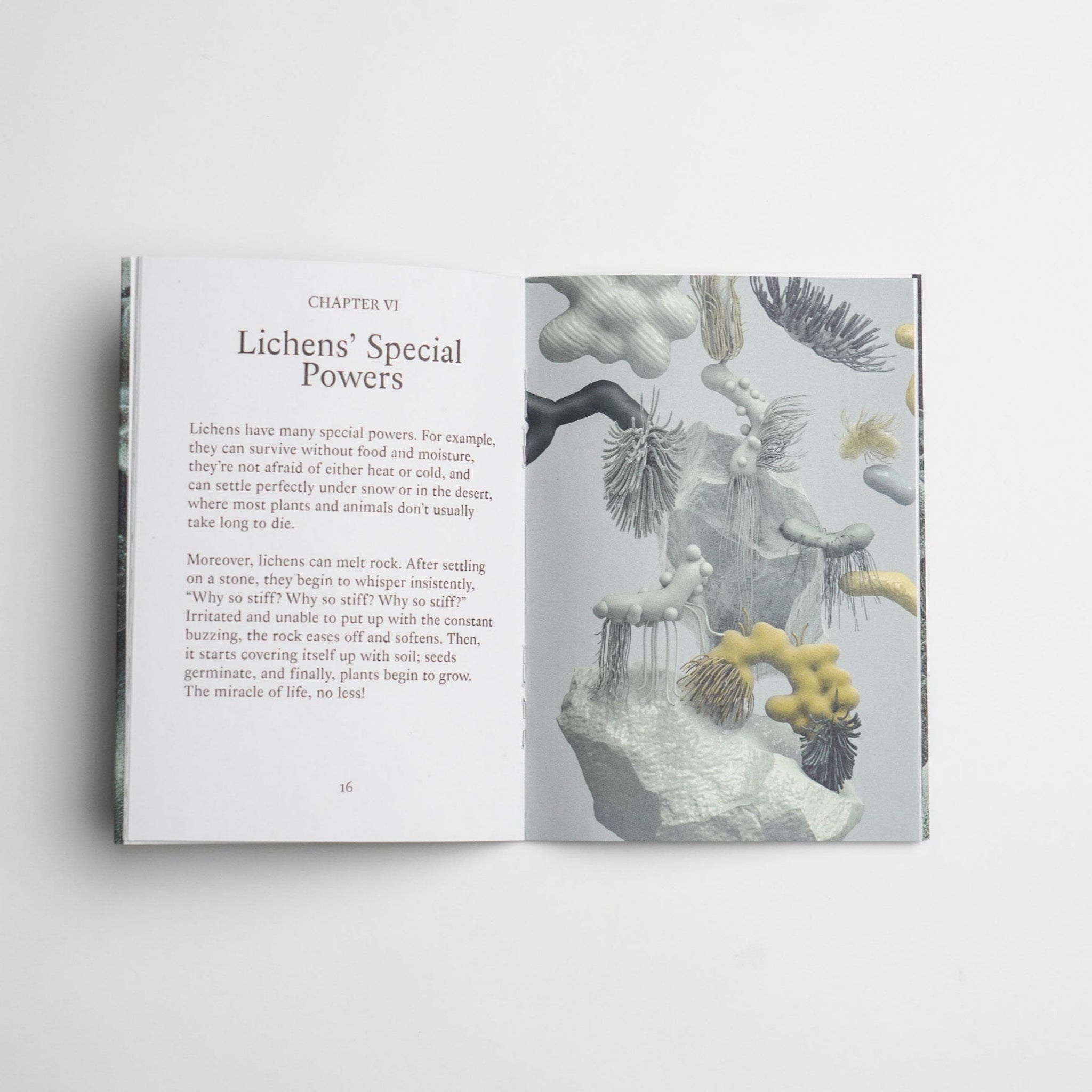 Slaptoji kerpių knyga