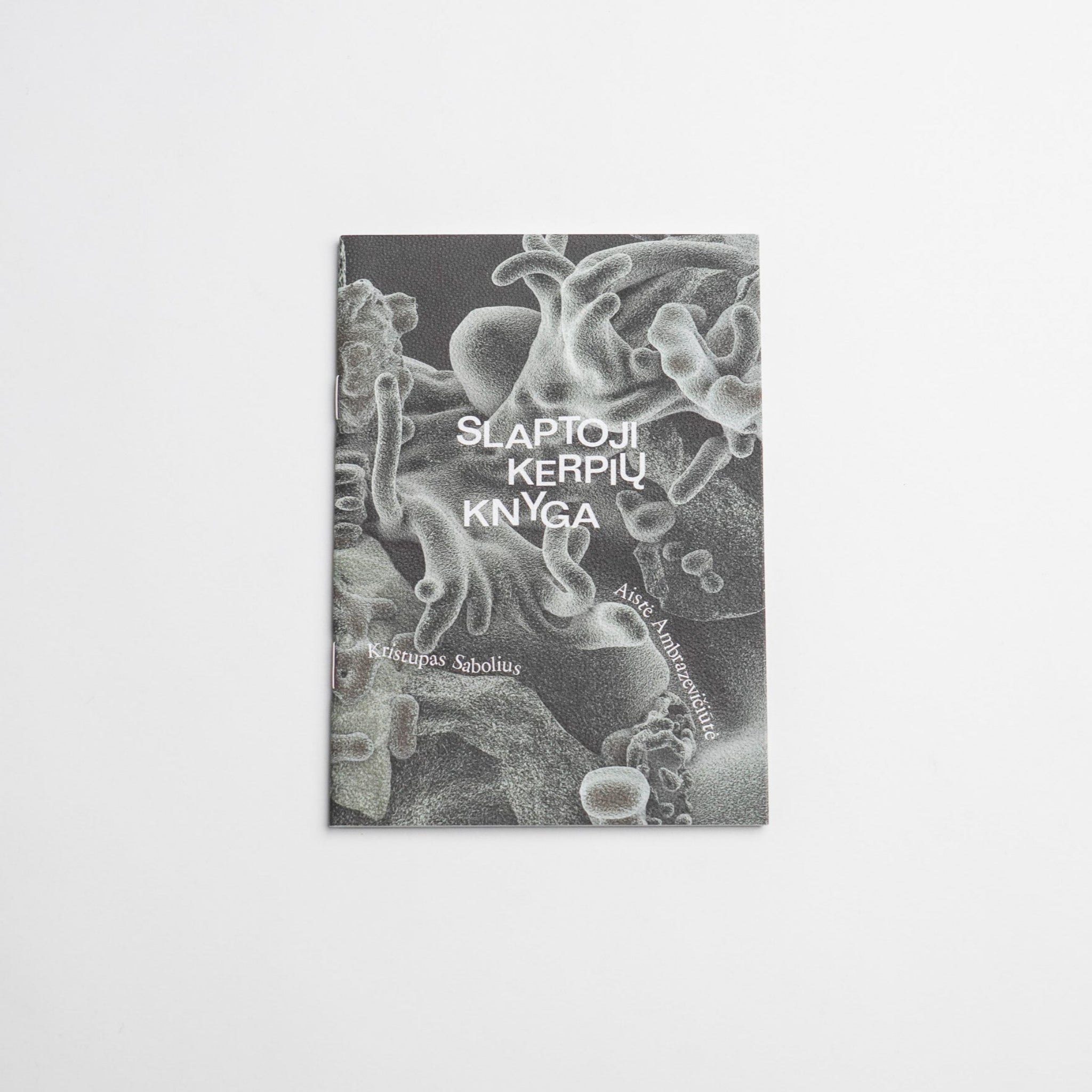 Slaptoji kerpių knyga