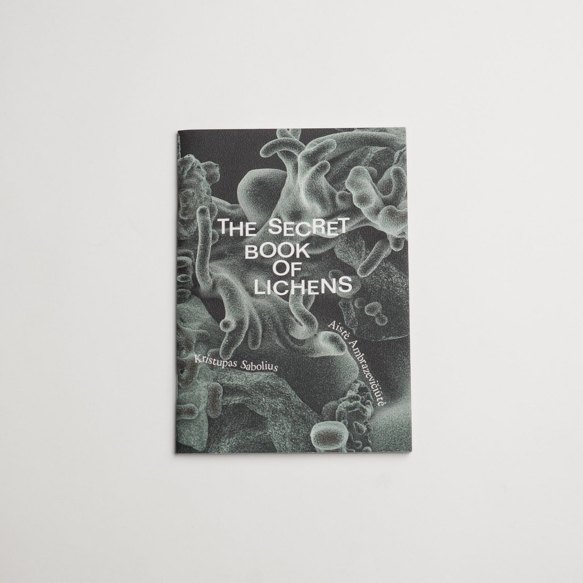 Slaptoji kerpių knyga